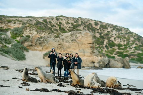 Small-Group Kangaroo Island 4WD Tour From Adelaide - Accommodation in Bendigo 0