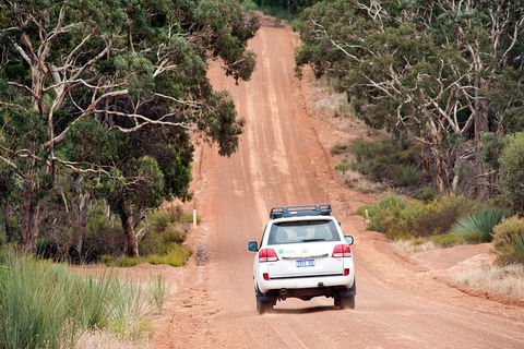 Small-Group Kangaroo Island 4WD Tour From Adelaide - Accommodation in Bendigo 7