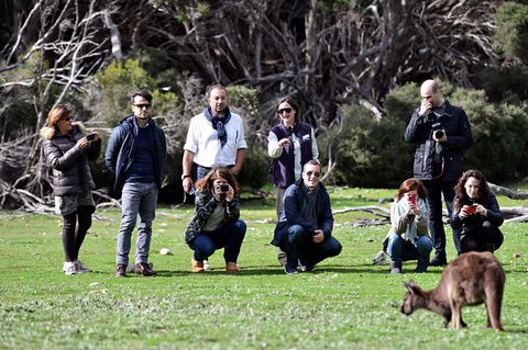Small-Group Kangaroo Island 4WD Tour From Adelaide - Accommodation in Bendigo 3