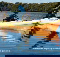Adelaide Dolphin Sanctuary and Ships Graveyard Kayak Tour - Accommodation in Bendigo