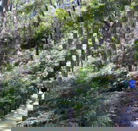 Self-Guided Waterfall Gully to Mount Lofty Hike from Adelaide - Accommodation in Bendigo