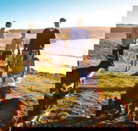 5-Day Adelaide and Kangaroo Island Tour Including Barossa Valley Wine Tasting - Accommodation in Bendigo