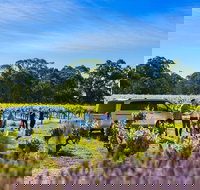 Micro-Group Barossa Valley Wine Tour from Adelaide - Accommodation in Bendigo