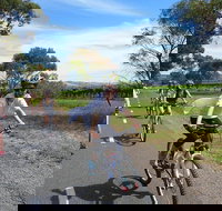 McLaren Vale Wine Tour by Bike - Accommodation in Bendigo
