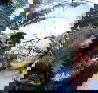 Adelaide Zoo Behind the Scenes Experience Squirrel Monkey Feeding - Accommodation in Bendigo