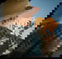 Lions 360 Experience and a Day at Monarto Safari Park - Accommodation in Bendigo