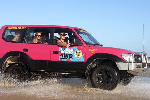 2-Day Fraser Island 4WD Tag-Along Tour At Beach House From Hervey Bay - Accommodation in Bendigo 0