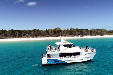 Hervey Bay Whale Watching Experience - Accommodation in Bendigo 11