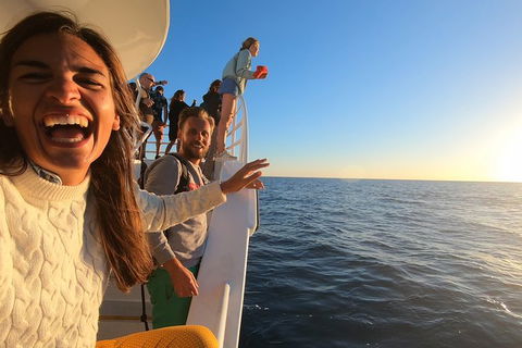 Hervey Bay Whale Watching Experience - Accommodation in Bendigo 9