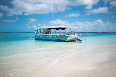 Great Sandy Marine Park Turtle Discovery And Cultural Eco Tour - Accommodation in Bendigo 0