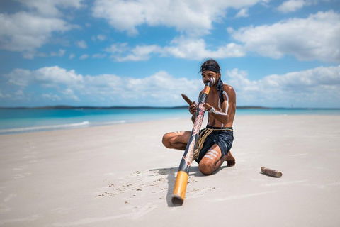 Great Sandy Marine Park Turtle Discovery And Cultural Eco Tour - Accommodation in Bendigo 1