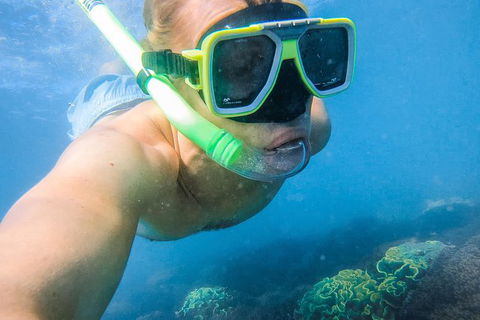 Great Sandy Marine Park Turtle Discovery And Cultural Eco Tour - Accommodation in Bendigo 2