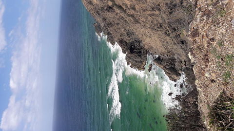 Chill Out At Byron Bay From Gold Coast - Accommodation in Bendigo 2