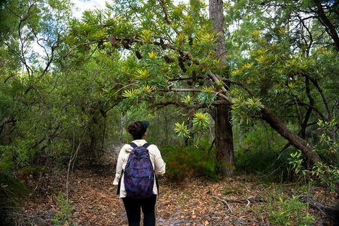 Pack-free Camping: Lake McKenzie Central Hike - 2 Days - Accommodation in Bendigo 1