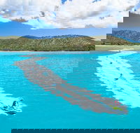 Whitsundays Jet Ski Tour - Accommodation in Bendigo