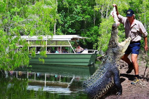 Crocs, Creatures And Culture Ex Northern Beaches - Accommodation in Bendigo 1