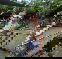 Hartley's Crocodile Adventures Day Trip from Cairns - Accommodation in Bendigo