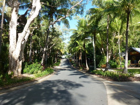Whitehaven Beach And Hamilton Island Cruise - Accommodation in Bendigo 5