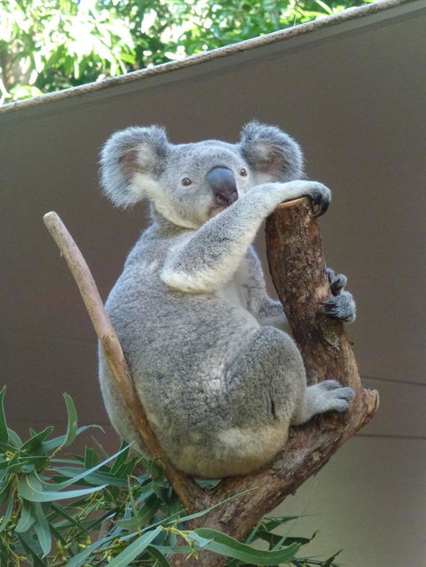 Whitehaven Beach And Hamilton Island Cruise - Accommodation in Bendigo 6