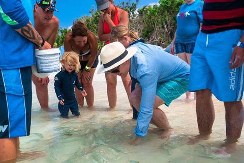 Whitehaven Beach And Hamilton Island Cruise - Accommodation in Bendigo 1