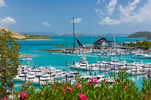 Whitehaven Beach And Hamilton Island Cruise - Accommodation in Bendigo 10