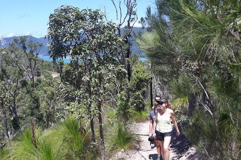 Scenic Guided Walk Up Mt Rooper For Best Whitsunday Views From Airlie Beach - Accommodation in Bendigo 1