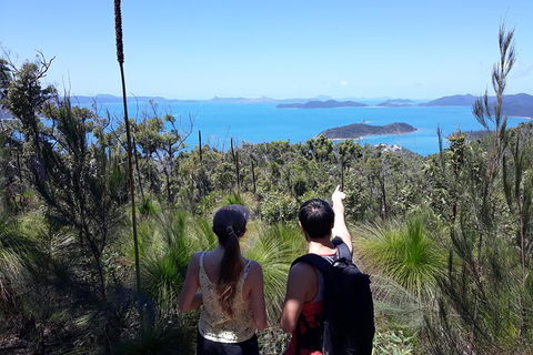 Scenic Guided Walk Up Mt Rooper For Best Whitsunday Views From Airlie Beach - Accommodation in Bendigo 0