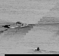 Overnight Tweed Coast Camping and Surfing Getaway From The Gold Coast - Accommodation in Bendigo
