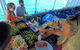Whitsunday Island Boat Adventure - thumb 9