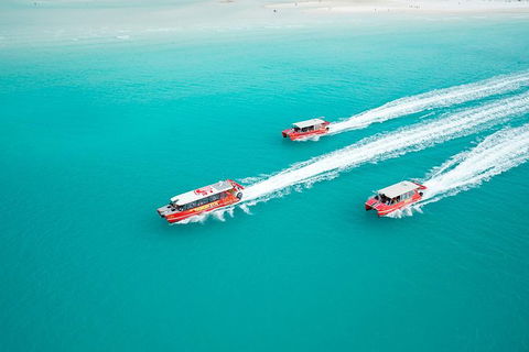 Whitehaven Beach And Hill Inlet Lookout Full-Day Snorkeling Cruise By High-Speed Catamaran - Accommodation in Bendigo 5