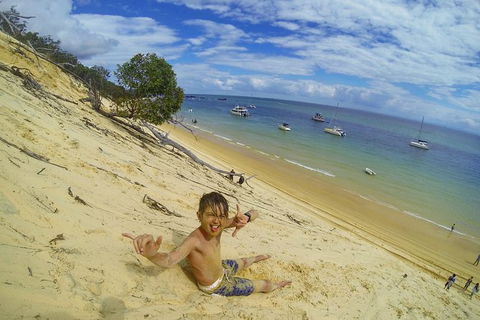 All Inclusive Dolphin And Tangalooma Wrecks Cruise Departing Gold Coast - Accommodation in Bendigo 8