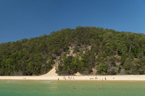 All Inclusive Dolphin And Tangalooma Wrecks Cruise Departing Gold Coast - Accommodation in Bendigo 3