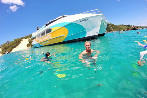 All Inclusive Dolphin And Tangalooma Wrecks Cruise Departing Gold Coast - Accommodation in Bendigo 2