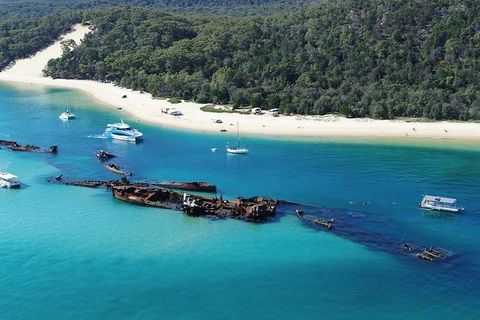 All Inclusive Dolphin And Tangalooma Wrecks Cruise Departing Gold Coast - Accommodation in Bendigo 5