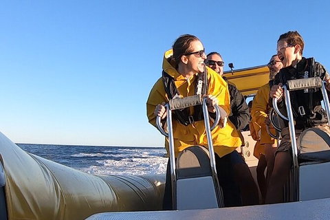 Noosa Oceanrider - Thrill Ride - Accommodation in Bendigo 5