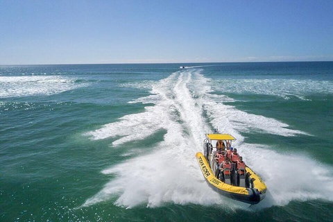 Noosa Oceanrider - Thrill Ride - Accommodation in Bendigo 2
