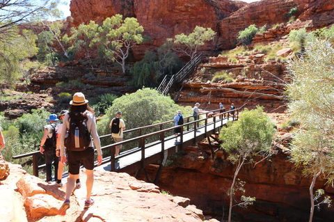 Kings Canyon Day Trip From Ayers Rock - Accommodation in Bendigo 19