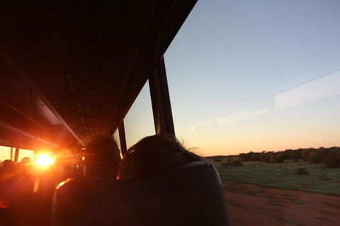 Kings Canyon Day Trip From Ayers Rock - Accommodation in Bendigo 22
