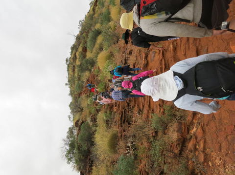 Kings Canyon Day Trip From Ayers Rock - Accommodation in Bendigo 14