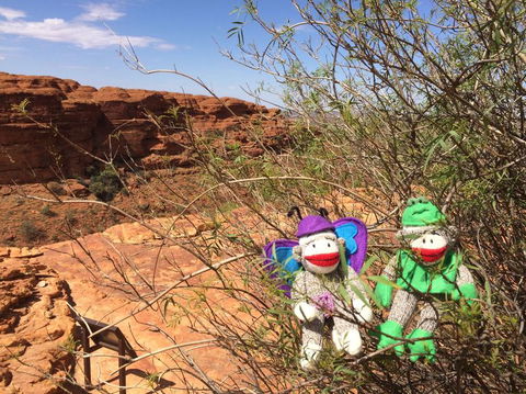 Kings Canyon Day Trip From Ayers Rock - Accommodation in Bendigo 23