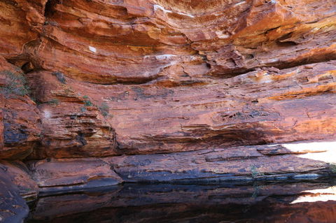 Kings Canyon Day Trip From Ayers Rock - Accommodation in Bendigo 16