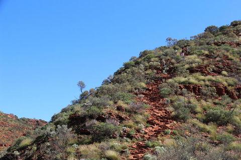 Kings Canyon Day Trip From Ayers Rock - Accommodation in Bendigo 21