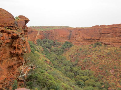Kings Canyon Day Trip From Ayers Rock - Accommodation in Bendigo 13