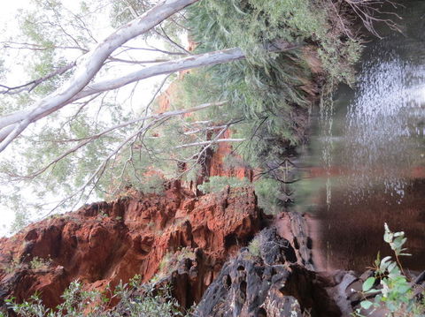 Kings Canyon Day Trip From Ayers Rock - Accommodation in Bendigo 11