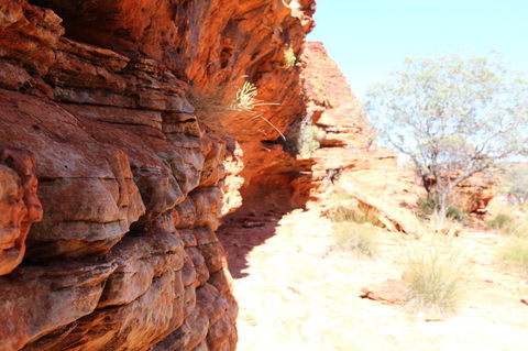 Kings Canyon Day Trip From Ayers Rock - Accommodation in Bendigo 20