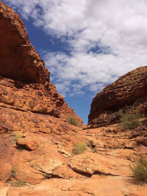 Kings Canyon Day Trip From Ayers Rock - Accommodation in Bendigo 25