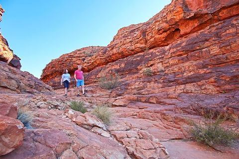 Kings Canyon Day Trip From Ayers Rock - Accommodation in Bendigo 31