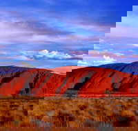 Uluru and Kata Tjuta Experience with BBQ Dinner - Accommodation in Bendigo