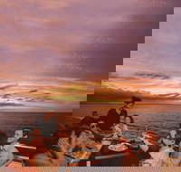 Darwin Harbour Sunset Cruise with Optional Buffet Dinner - Accommodation in Bendigo