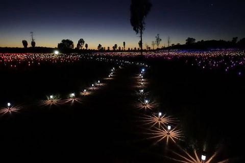 Uluru Field Of Light Sunrise Tour - Accommodation in Bendigo 2